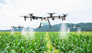 Artificial Intelligence revolutionising Agriculture