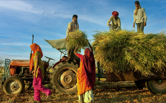 Leveraging Agroecological Approaches for Clean and Green Villages